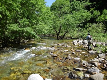 フライ名人とイワナ釣り